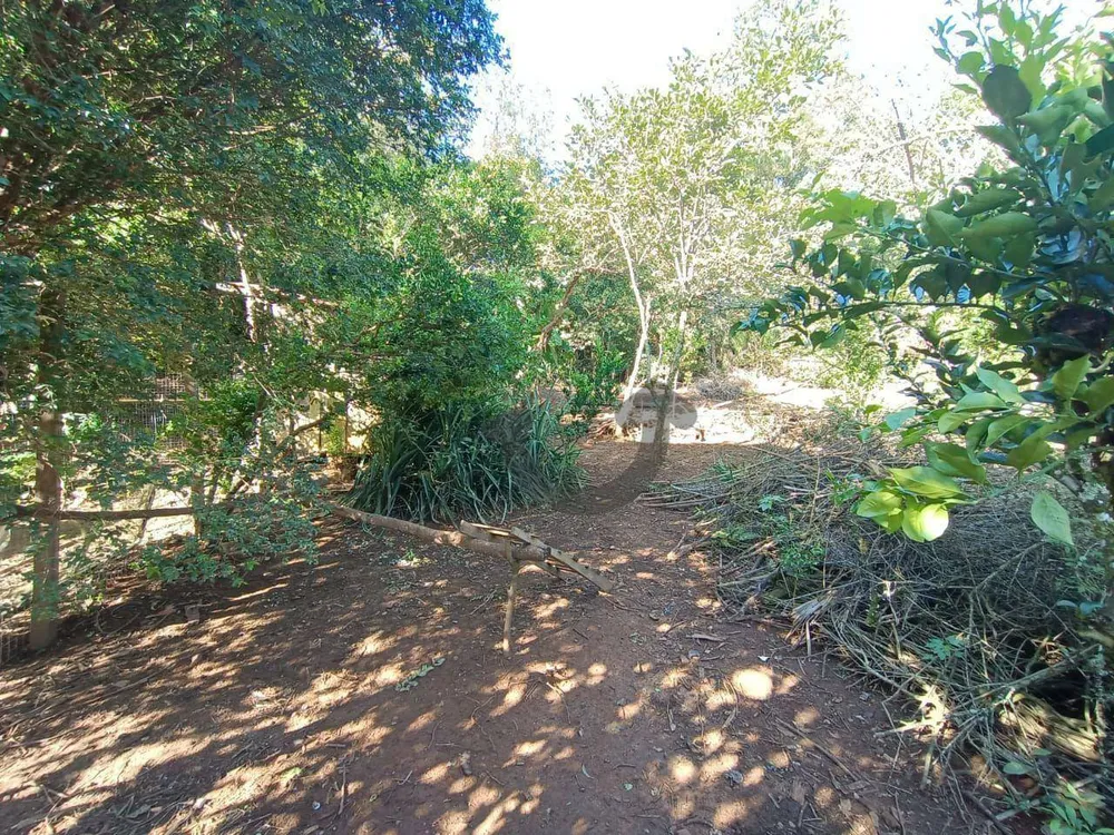 Chácara, 3200 m² - Foto 6