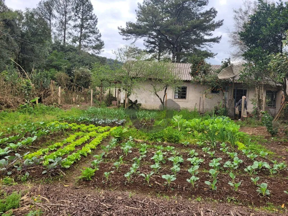 Chácara, 3200 m² - Foto 7