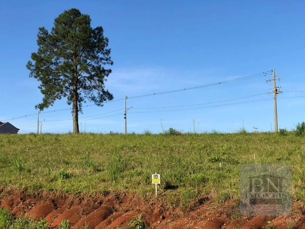 Loteamento e Condomínio à venda, 340M2 - Foto 1