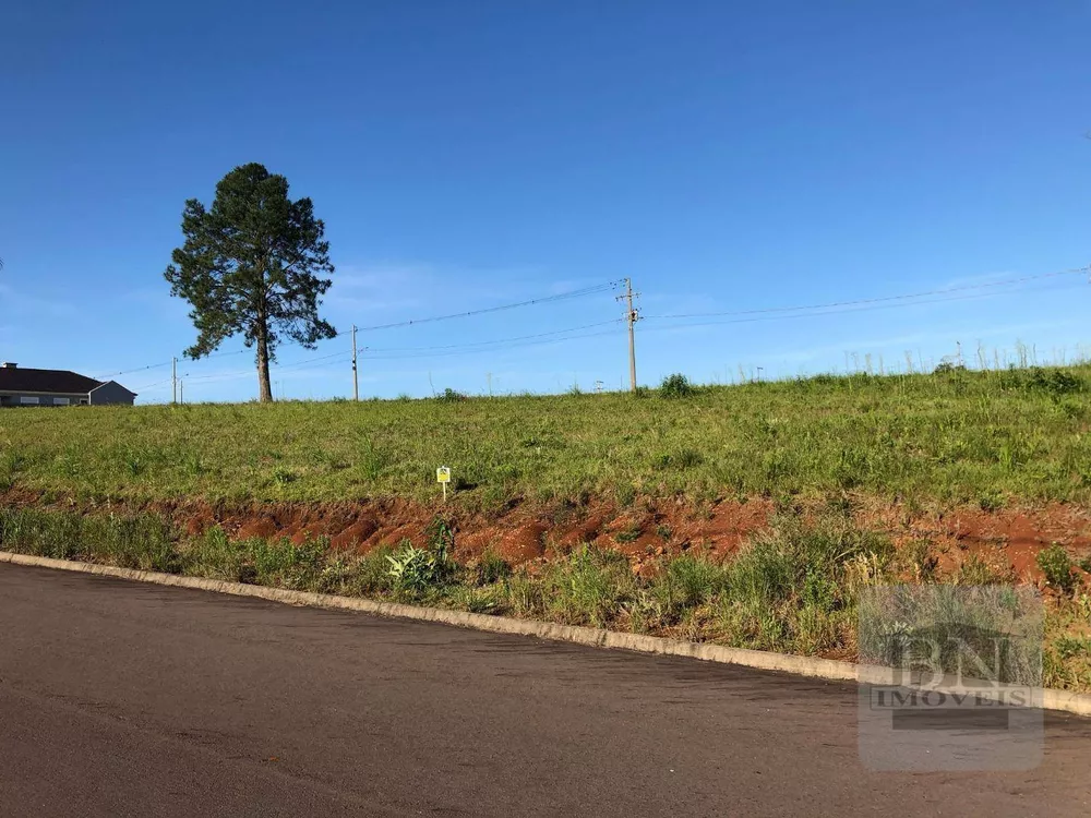 Loteamento e Condomínio à venda, 340M2 - Foto 3