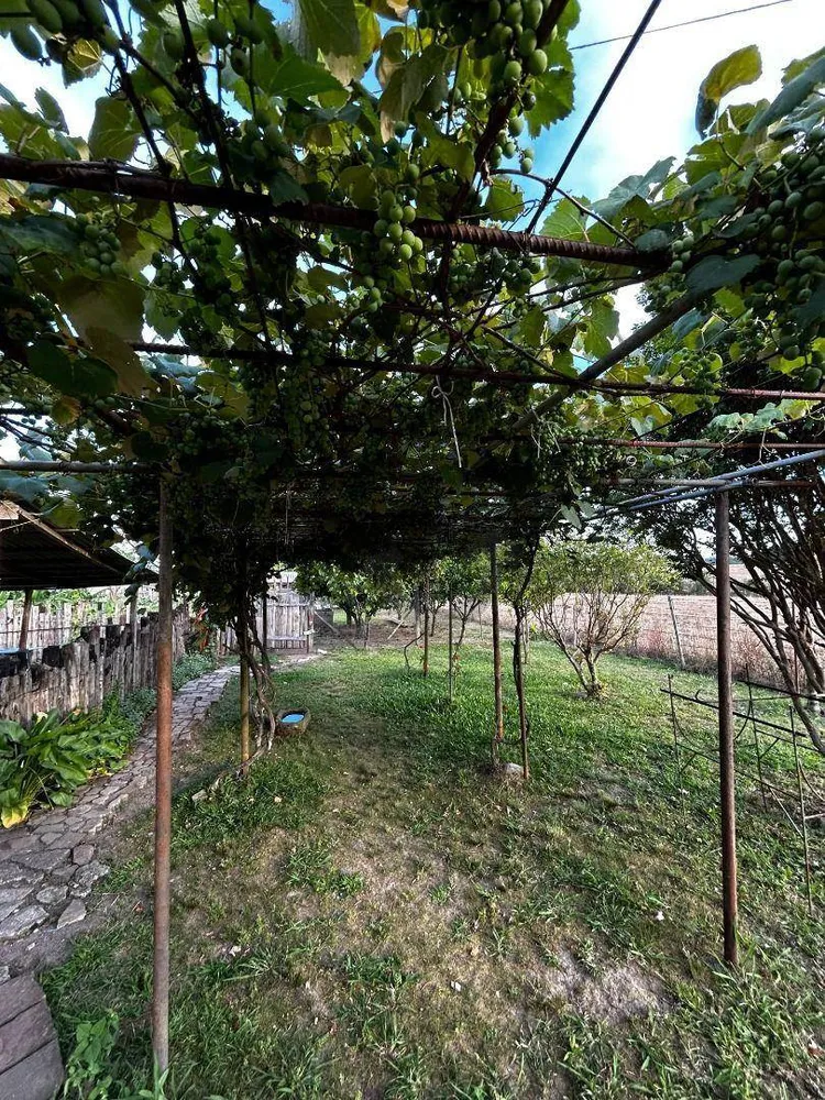 Chácara, 2952 m² - Foto 2