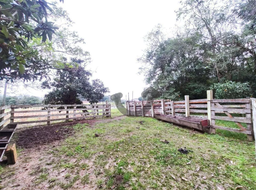 Chácara, 3 quartos, 8 hectares - Foto 24