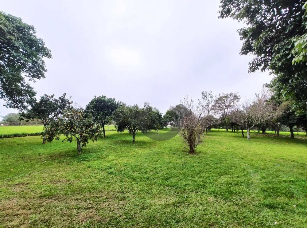 Sítio, 3 quartos, 8 hectares - Foto 18