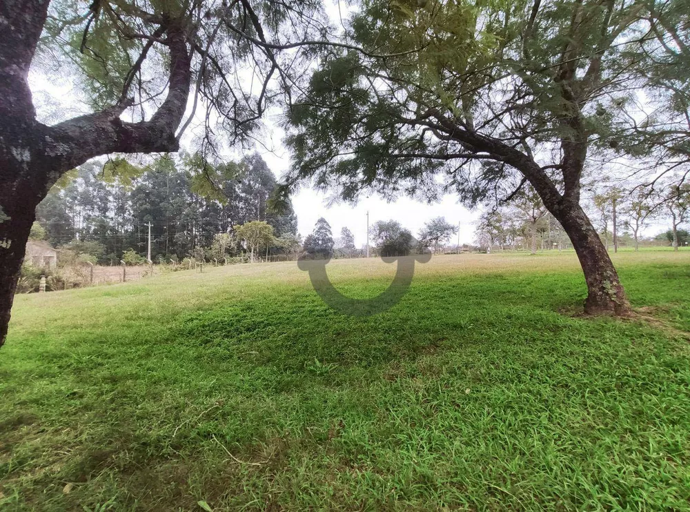 Chácara, 3 quartos, 8 hectares - Foto 4