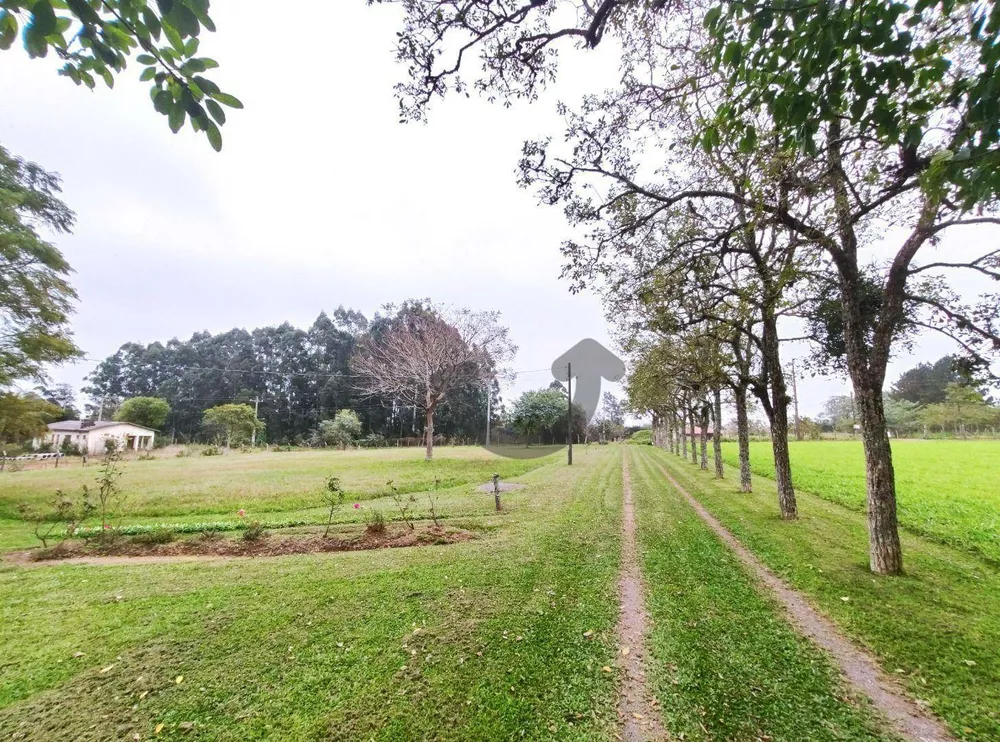 Chácara, 3 quartos, 8 hectares - Foto 3