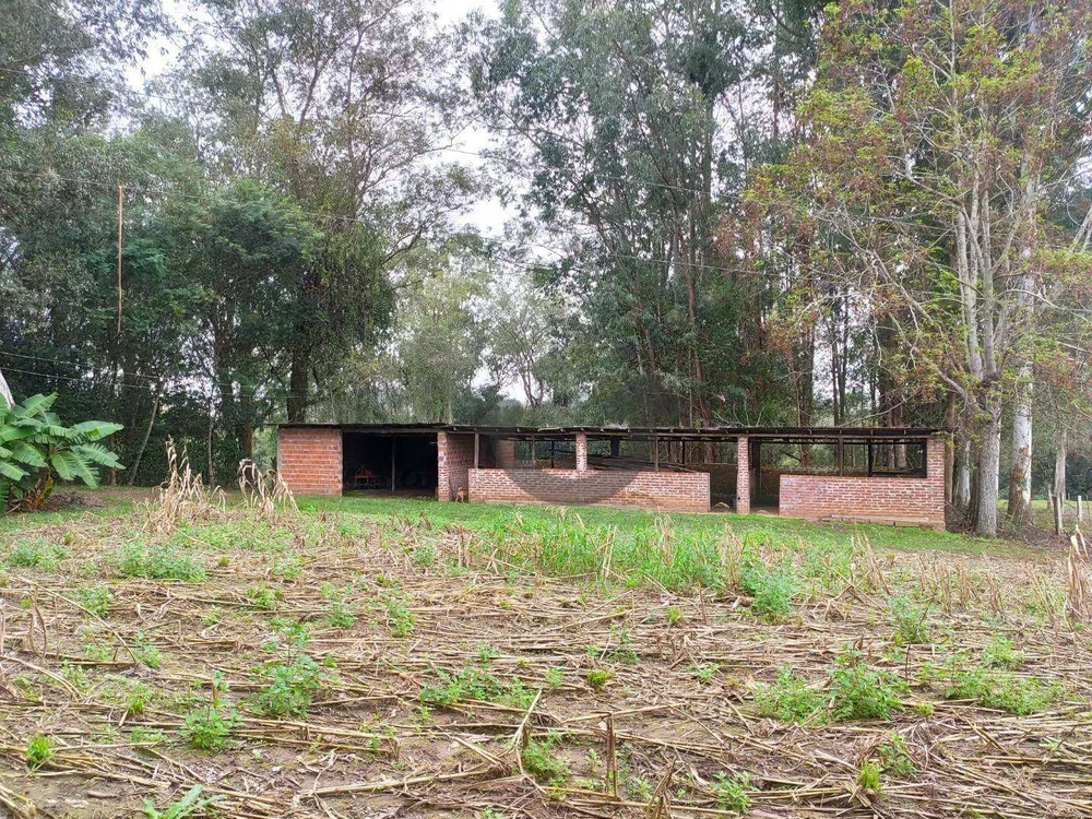Chácara, 3 quartos, 8 hectares - Foto 19