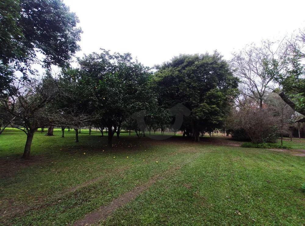Chácara, 3 quartos, 8 hectares - Foto 17