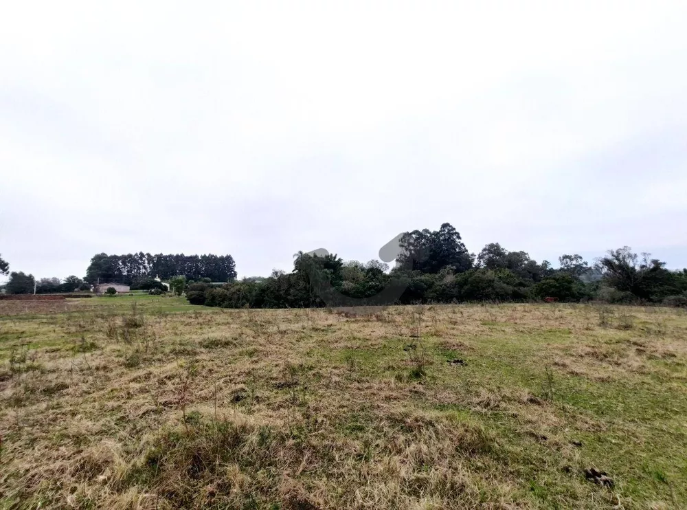 Chácara, 3 quartos, 8 hectares - Foto 10