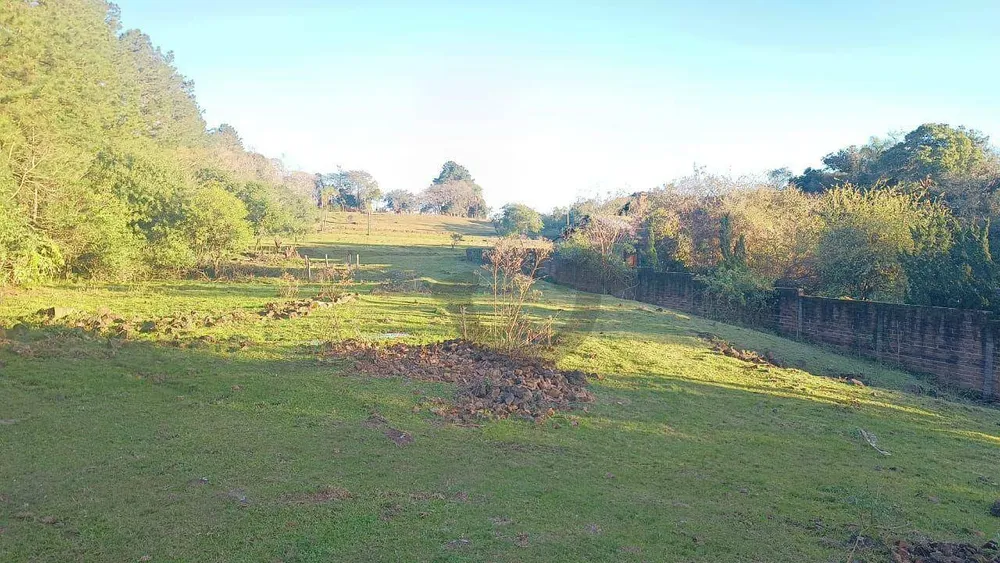 Terreno, 3 hectares - Foto 3