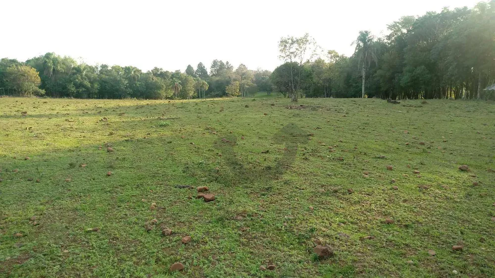 Terreno, 3 hectares - Foto 6