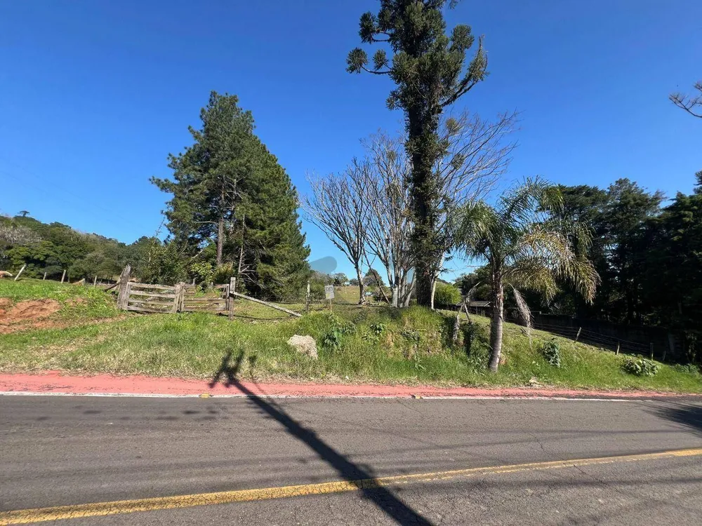 Terreno, 3 hectares - Foto 1