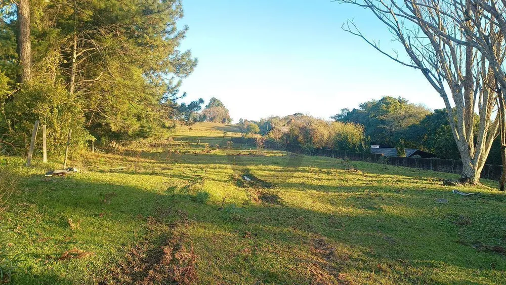 Terreno, 3 hectares - Foto 4
