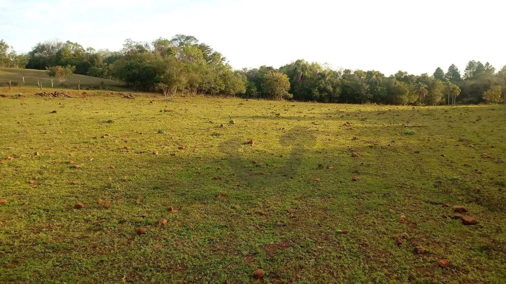 Terreno, 3 hectares - Foto 7