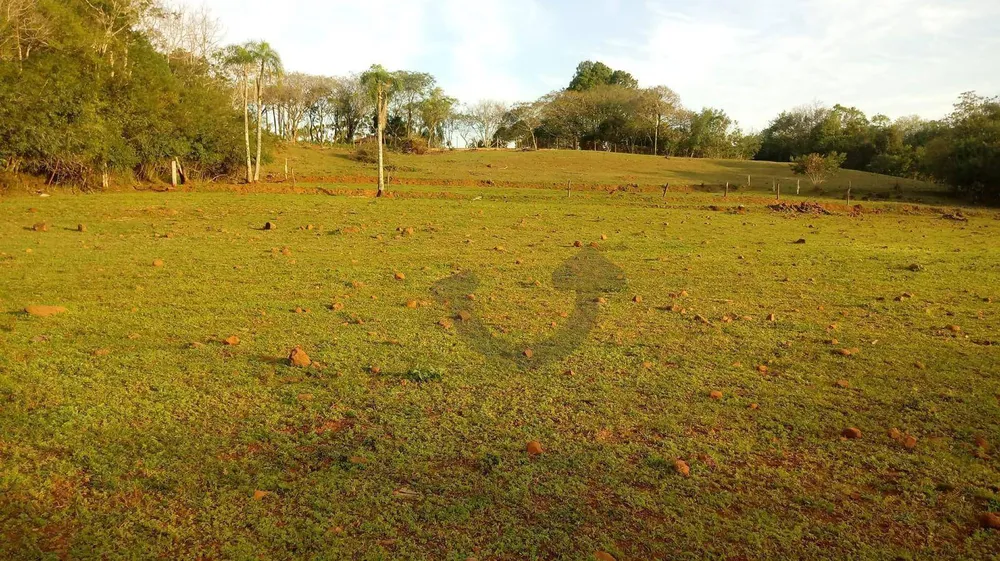 Terreno, 3 hectares - Foto 8