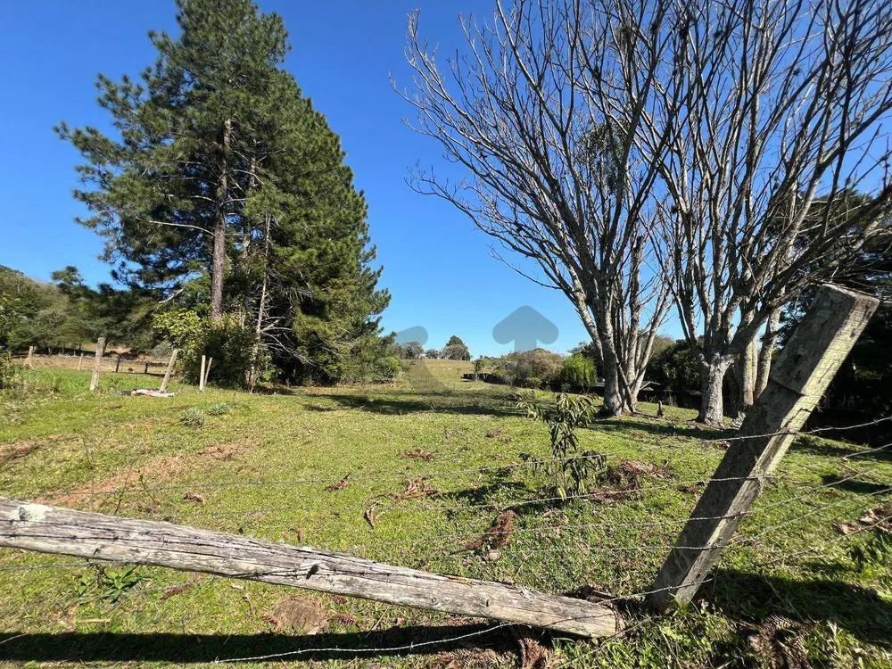 Terreno, 3 hectares - Foto 2