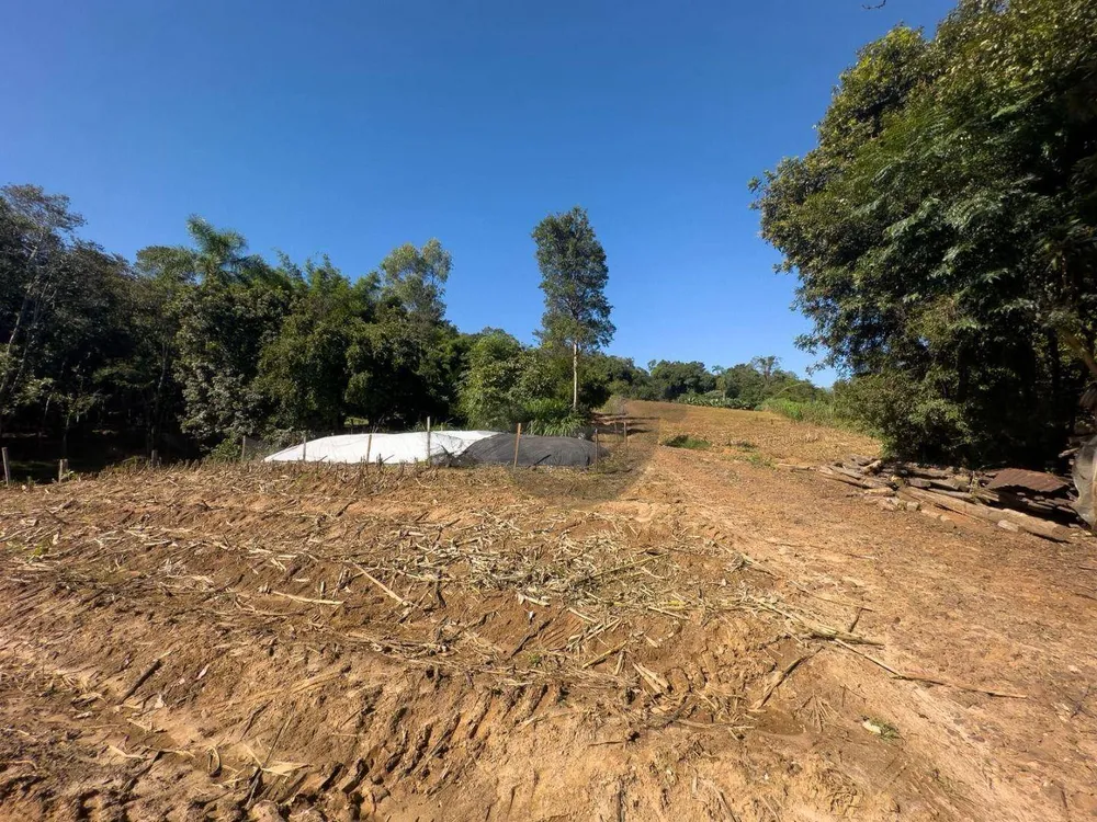 Chácara, 4 quartos, 8 hectares - Foto 14