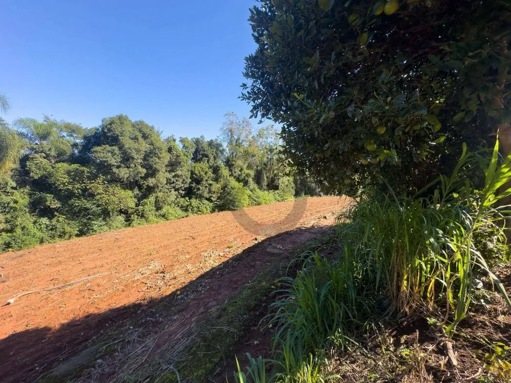 Chácara, 4 quartos, 8 hectares - Foto 15