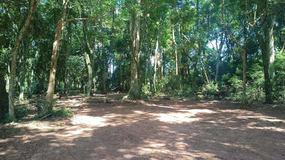 Sítio, 4 hectares - Foto 2