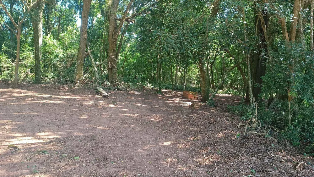 Sítio, 4 hectares - Foto 11