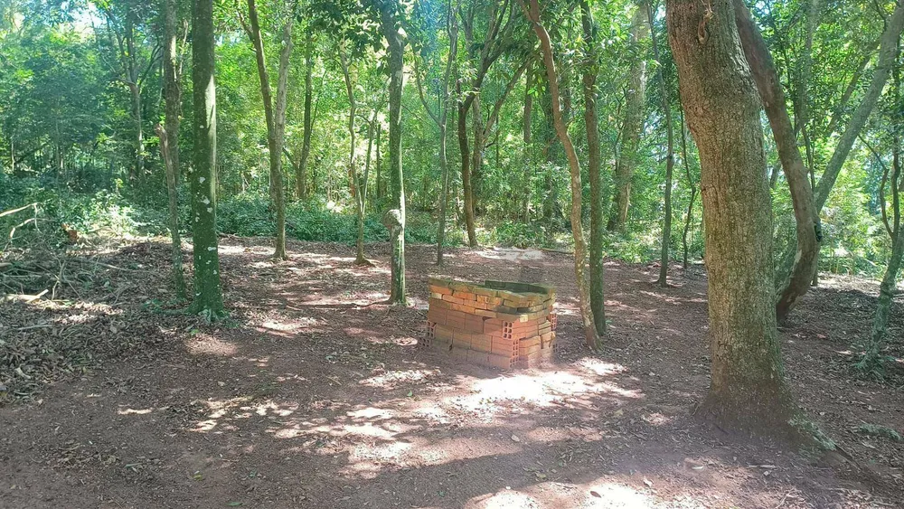 Sítio, 4 hectares - Foto 8