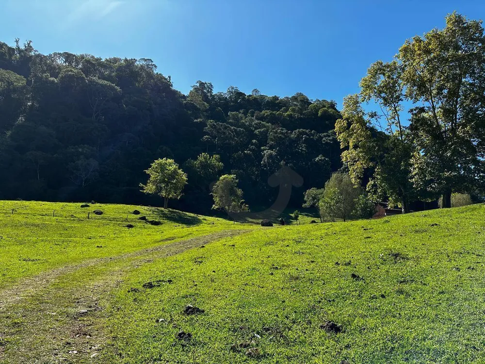 Sítio, 46 hectares - Foto 14