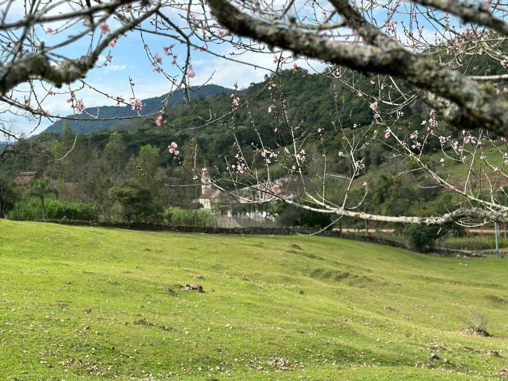 Sítio, 46 hectares - Foto 1