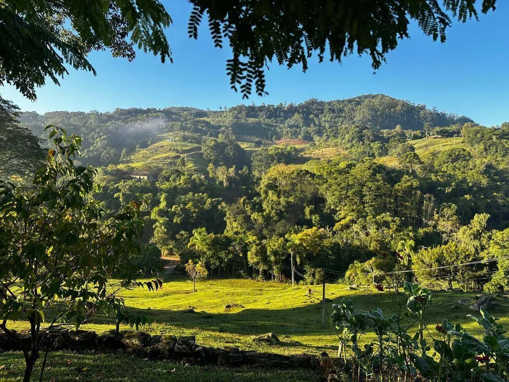 Sítio, 46 hectares - Foto 3