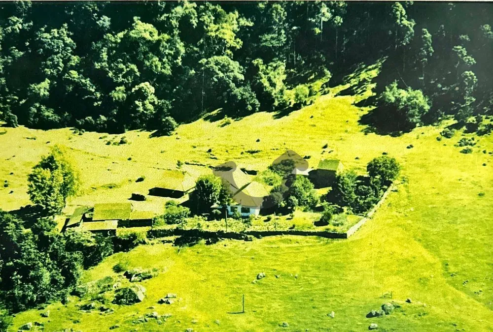 Sítio, 46 hectares - Foto 4