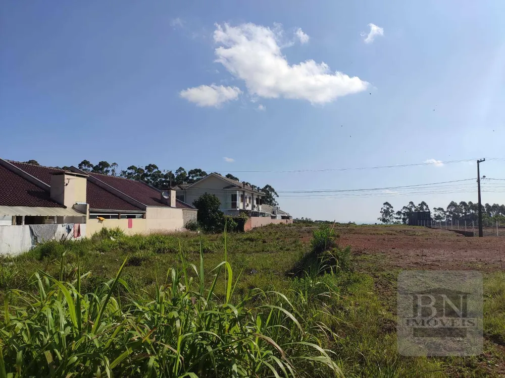 Loteamento e Condomínio, 490 m² - Foto 3