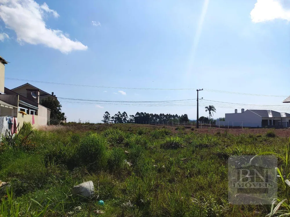 Loteamento e Condomínio, 490 m² - Foto 4
