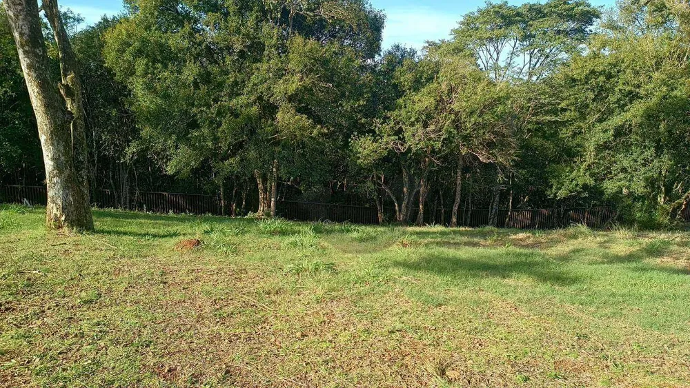 Loteamento e Condomínio, 765 m² - Foto 2