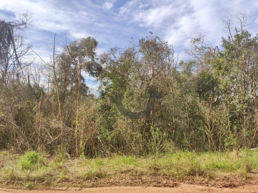 Terreno, 1 hectares - Foto 3