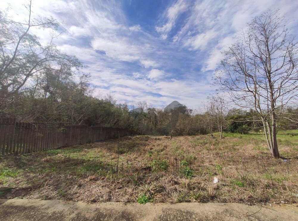 Terreno, 1 hectares - Foto 1