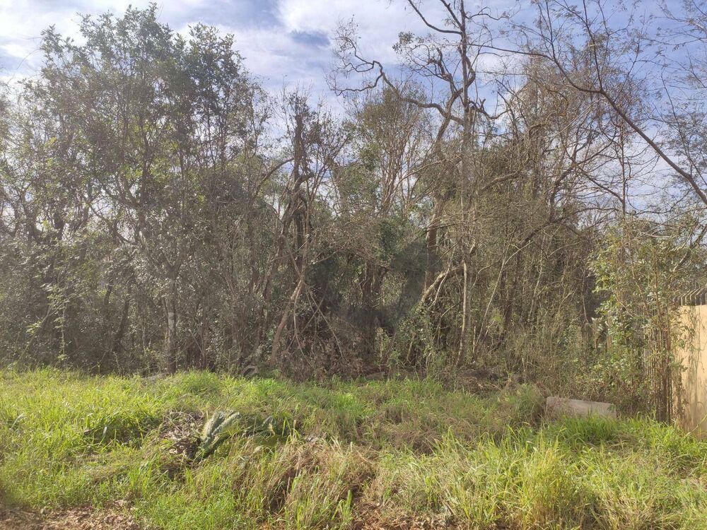 Terreno, 1 hectares - Foto 2