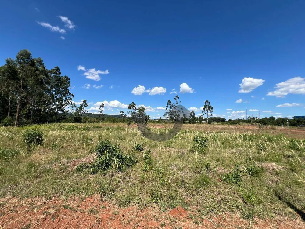 Terreno, 4800 m² - Foto 3