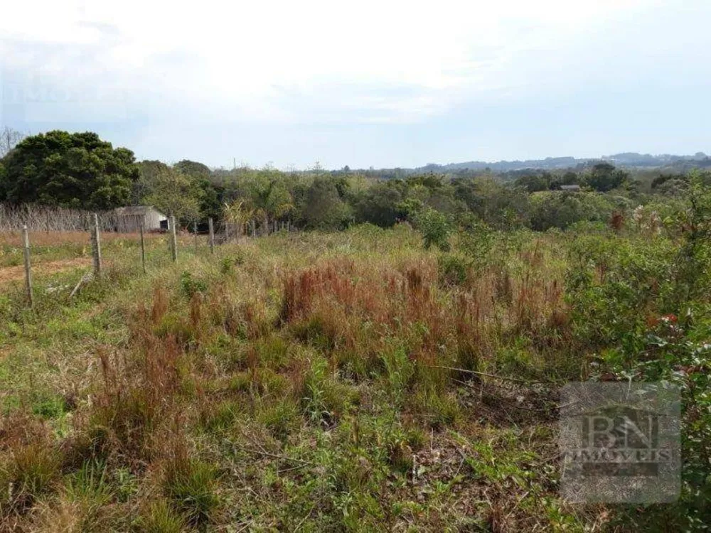 Terreno, 2023 m² - Foto 5