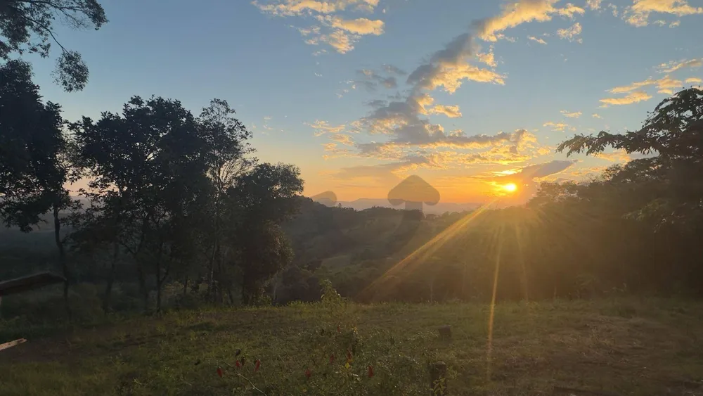 Chácara, 2 hectares - Foto 8
