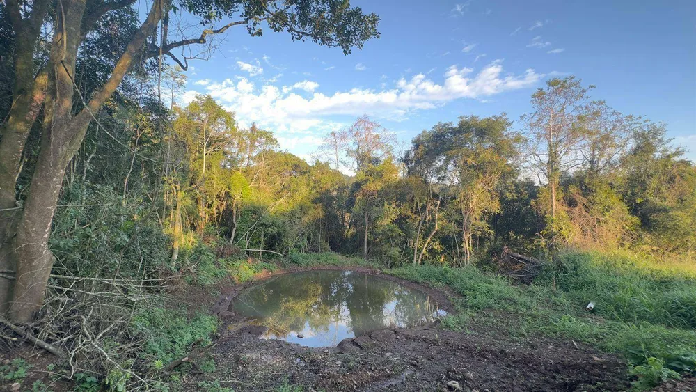 Chácara, 2 hectares - Foto 7