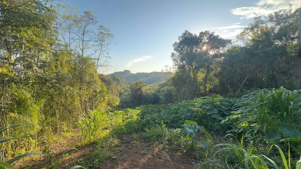 Chácara, 2 hectares - Foto 1