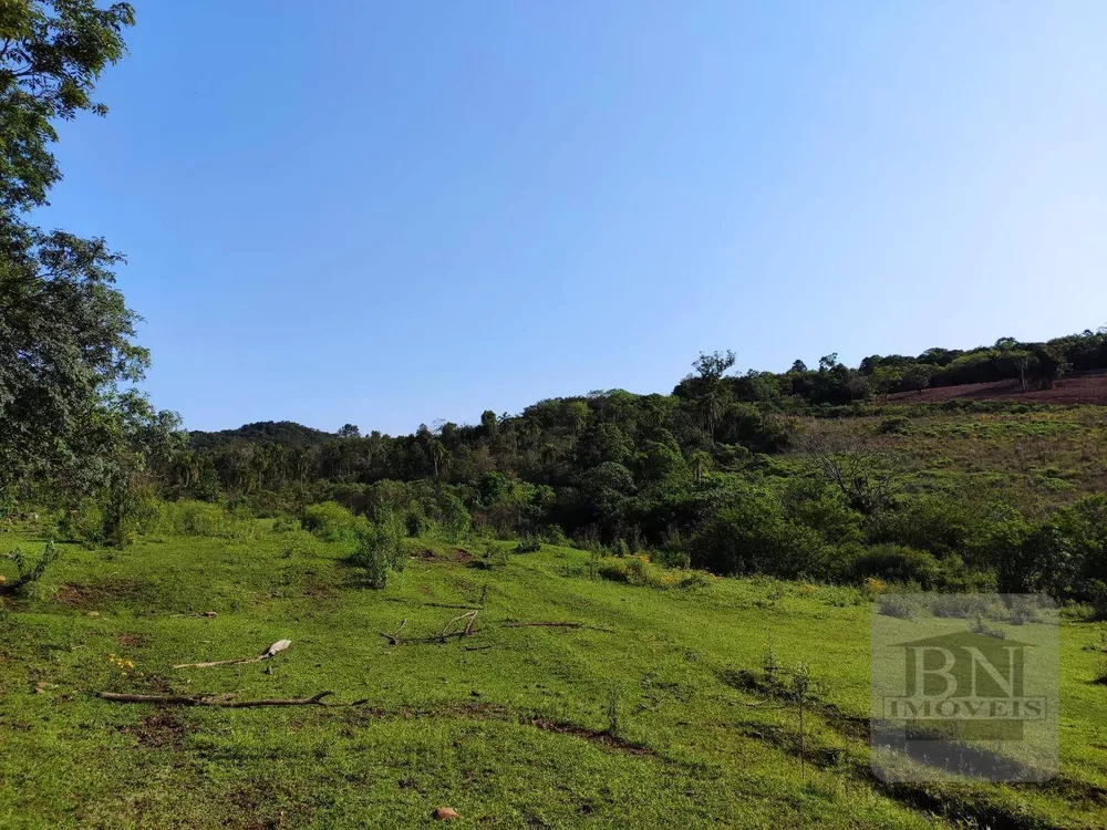 Terreno, 13 hectares - Foto 14