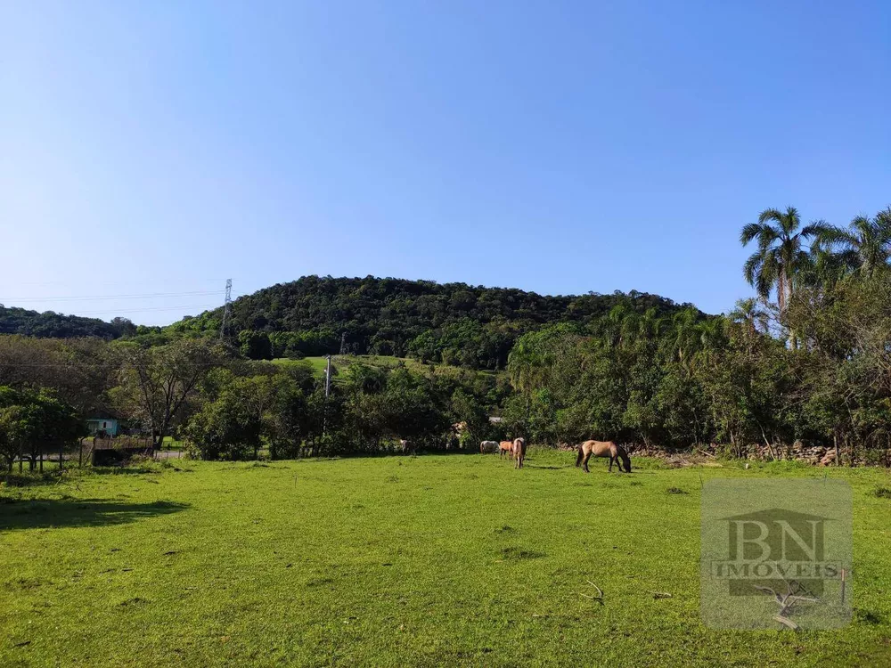 Terreno, 13 hectares - Foto 12