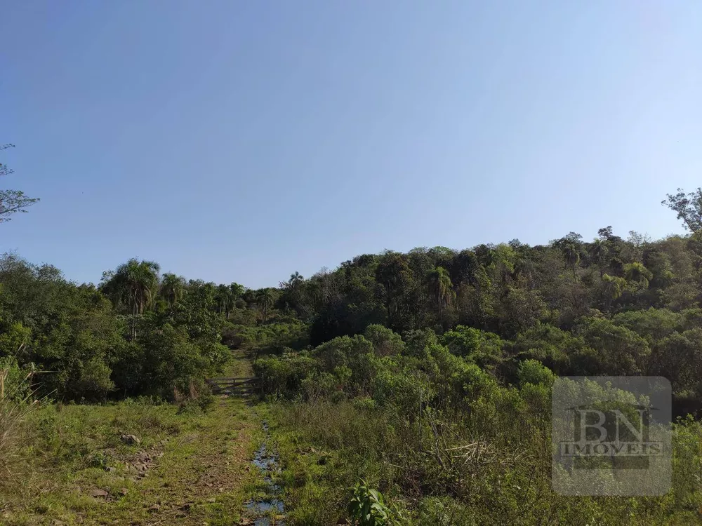 Terreno, 13 hectares - Foto 6