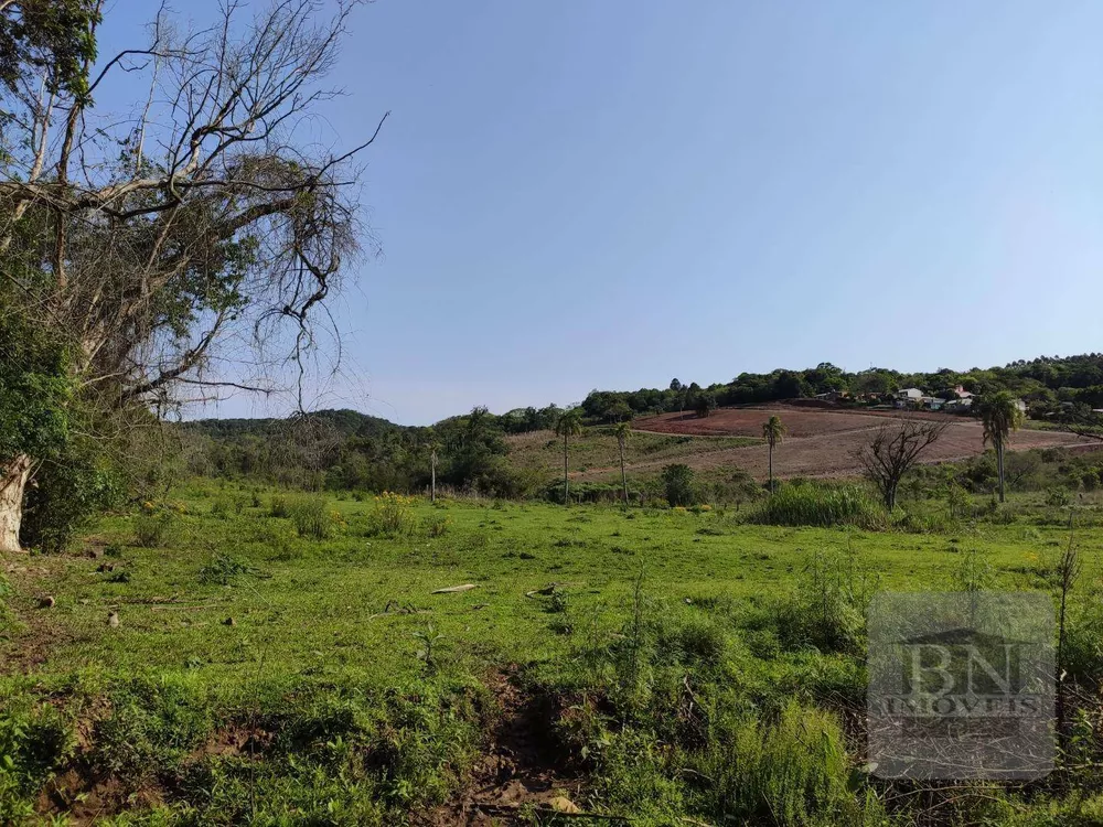Terreno, 13 hectares - Foto 15