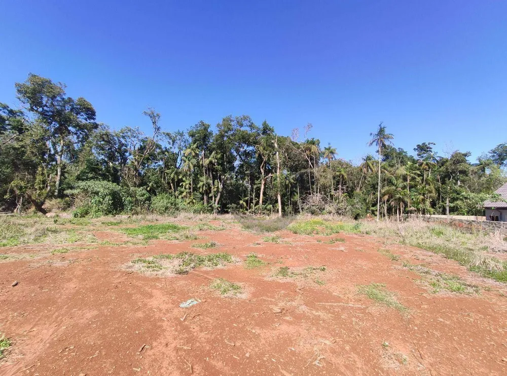 Terreno, 2526 m² - Foto 4