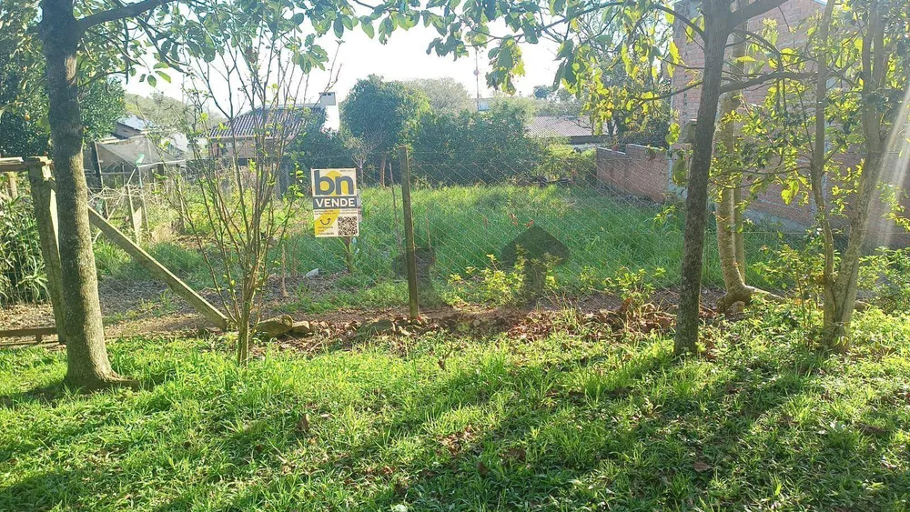 Terreno, 558 m² - Foto 3