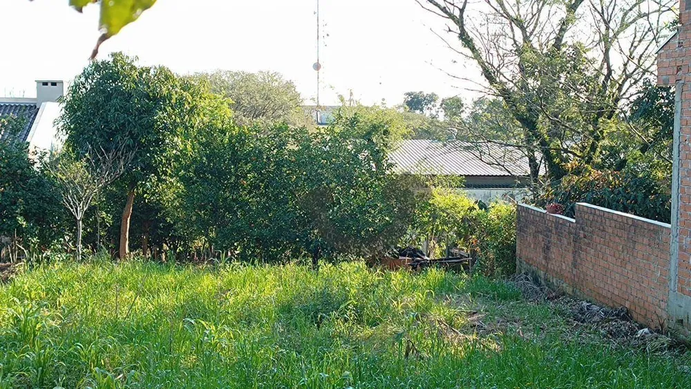 Terreno, 558 m² - Foto 2