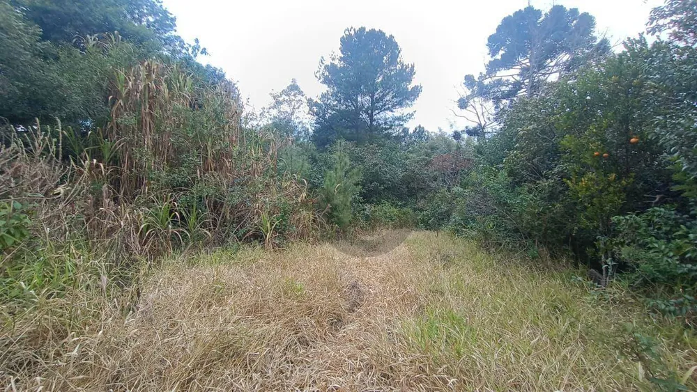 Terreno, 3040 m² - Foto 10