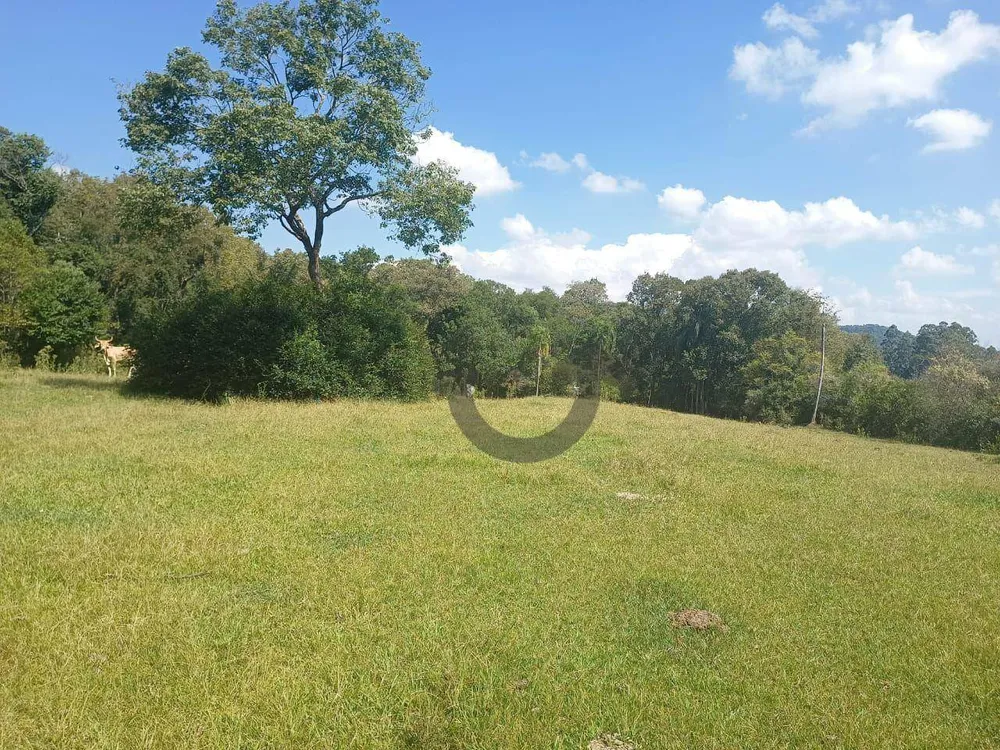 Terreno, 9 hectares - Foto 8