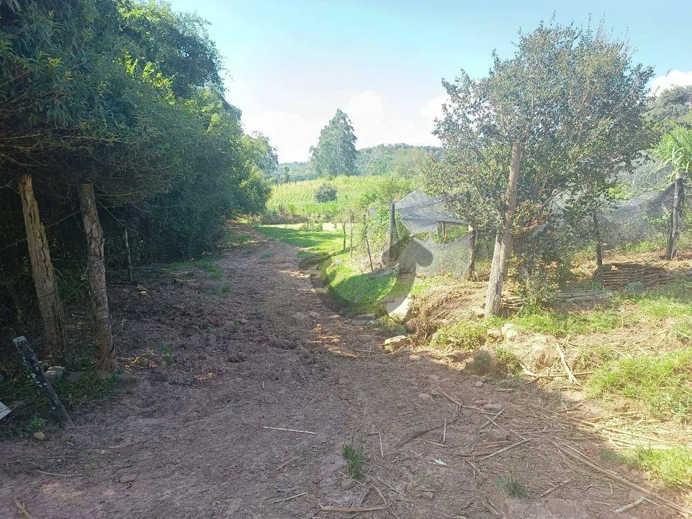 Terreno, 9 hectares - Foto 4