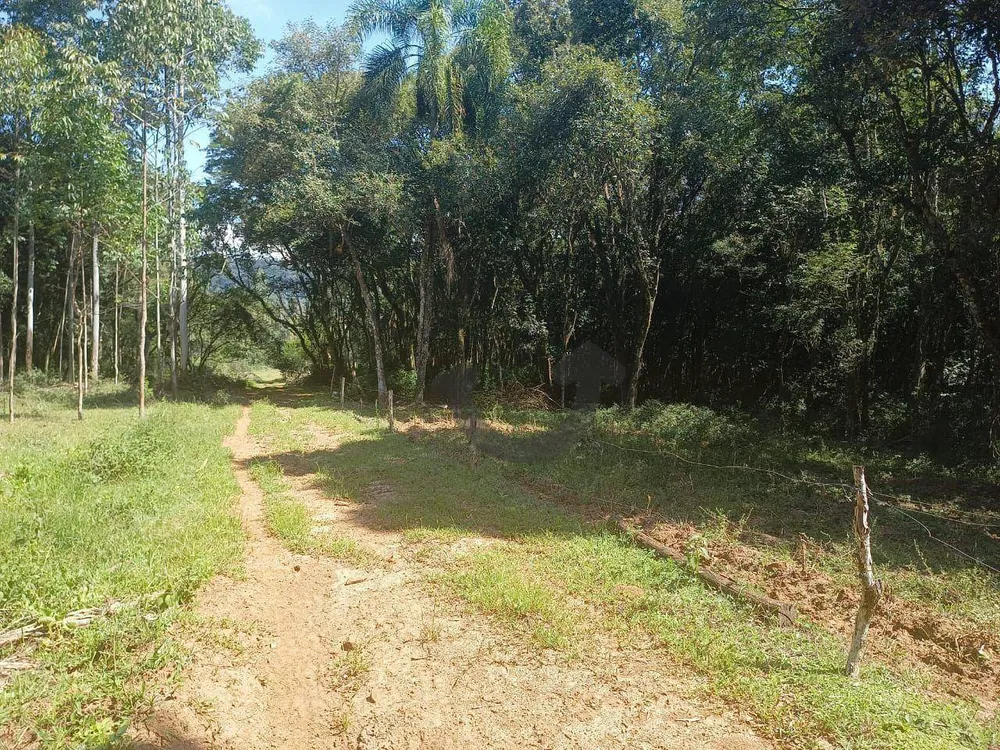 Terreno, 9 hectares - Foto 10